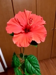 20190301_201747.jpg