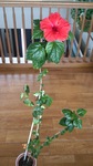 DSC_1758.jpg