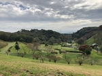 写真 2018-10-24 11 59 17.jpg