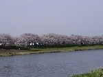 IMG_20180413_132015.jpg
