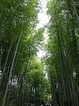 IMG_20180727_162830.jpg