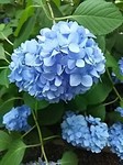 IMG_20180727_163240.jpg