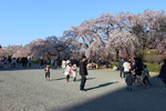 resize0594.jpg